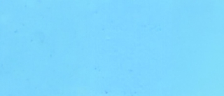 STAHLS SportsFilm 320-lightblue š. 50 cm