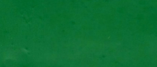 STAHLS SportsFilm 400-green š. 50 cm