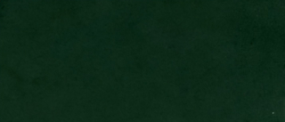 STAHLS SportsFilm 410-darkgreen š. 50 cm