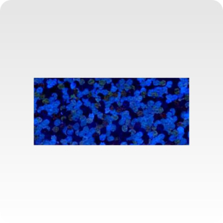 Poli-Flex Starflex 494 blue š. 50cm
