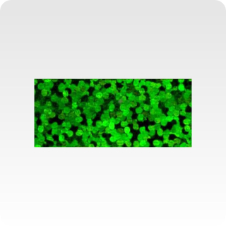 Poli-Flex Starflex 495 green, š. 50cm