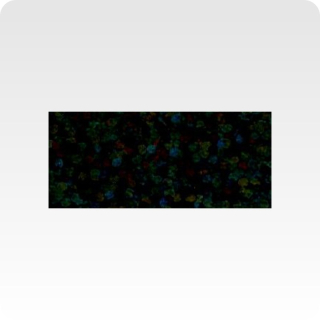 Poli-Flex Starflex 499 black, š. 50cm